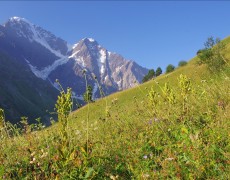 Первый Кавказ, Август 2010