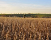 _DSC0060