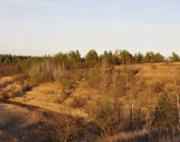 _DSC0066