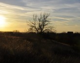 _DSC0068
