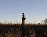_DSC0071