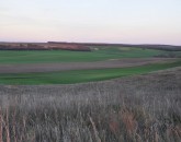 _DSC0084